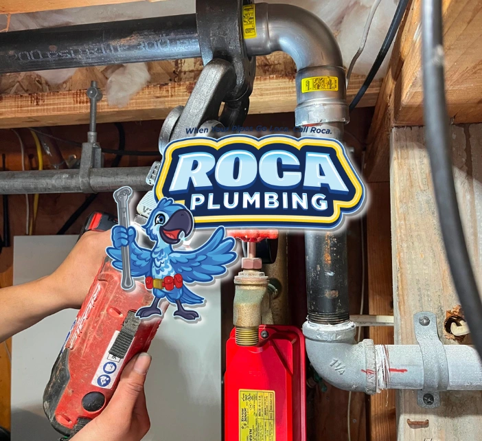 roca about